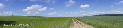 Blick   ber einen Feldweg