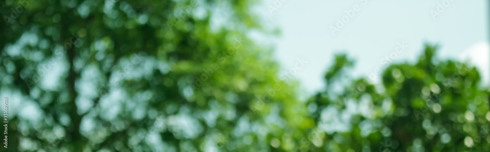 Obraz premium Beautiful blur picture of blue sky, trees and grass.