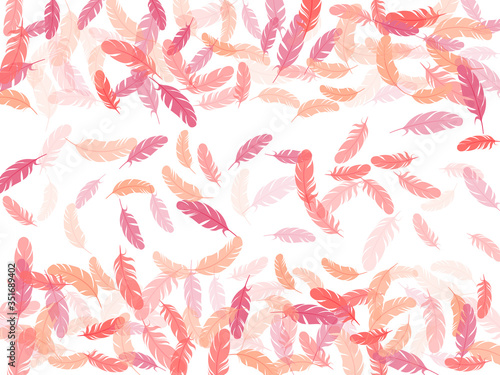 Fluffy twirled feathers on white design.