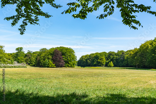 The large meadow with the young green grass next to the Seringenberg (lilac) in the park De Horsten in Wassenaar, the Netherlands