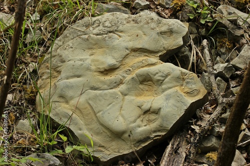 Muschelkalk aus der Trias mit Wurmspuren photo