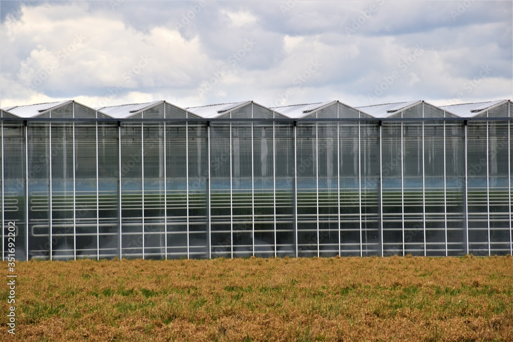 Obraz premium Szklarnie przemysłowe