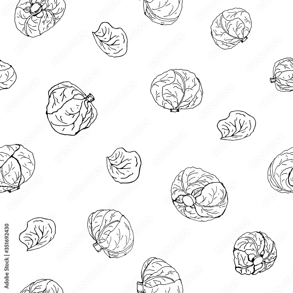 White cabbage, green cabbage whole heads and leaves. Seamless pattern repeating. Black and white doodle vector illustration on a white background, isolated cut-out objects White cabbage, green cabbage whole heads and leaves. Seamless pattern repeating. Black and white doodle vector illustration on a white background, isolated cut-out objects