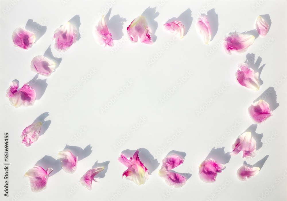 Trendy layout with peonies petal, on white background. Minimal spring concept in hard light and shadow. Floral garden design.
