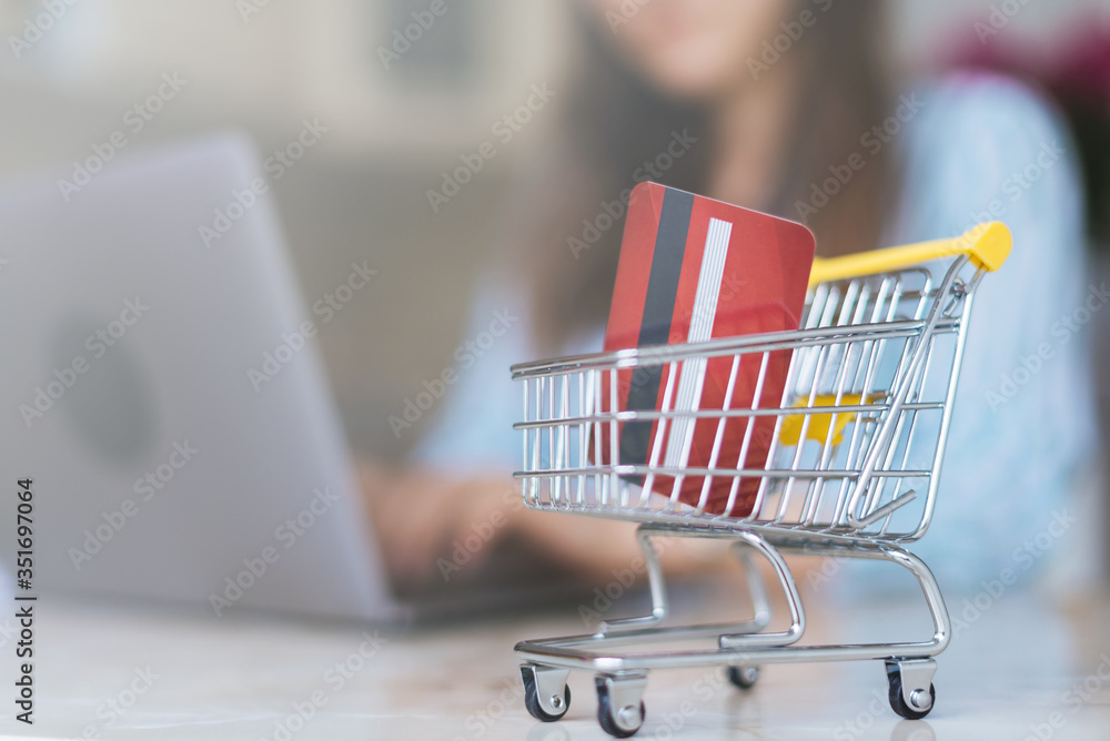 photo of woman making online shopping with troley background.