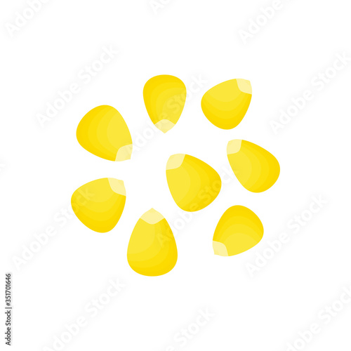 Corn seeds vector illustration isolated on white background.