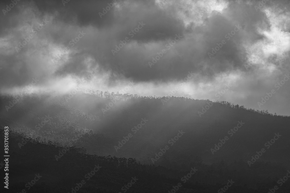 Scenes of sunlight with fog! Scenes of sunlight with fog!