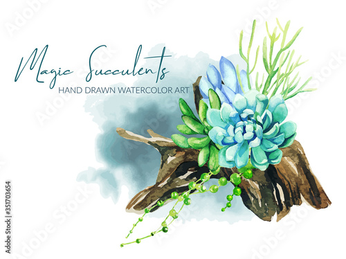 Bright watercolor succulents growing in the wooden snag pot