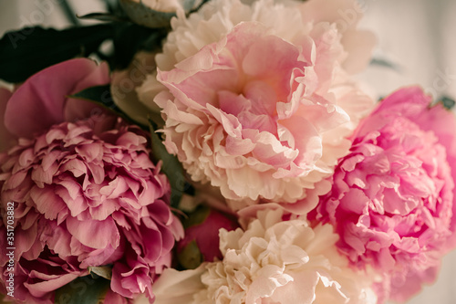 Fototapeta Naklejka Na Ścianę i Meble -  Beautiful peony flowers. Paste colors. Pink and white peonies. Pink petals. Flower buds. Summer bouquet of flowers. Summer time. Green leaves. Macro flowers. Close up. Spring time. Large peonies.