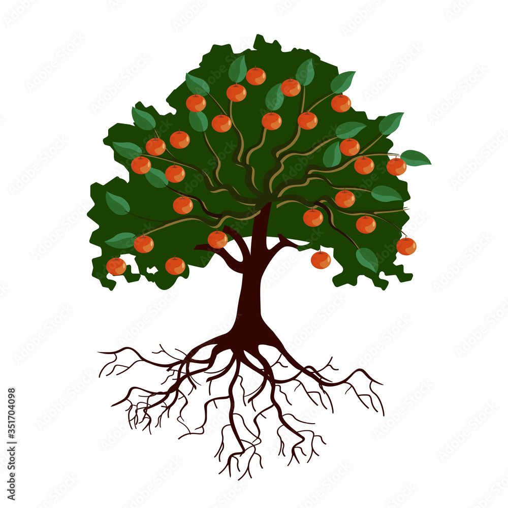 Naklejka premium Big apple tree with fruits and roots
