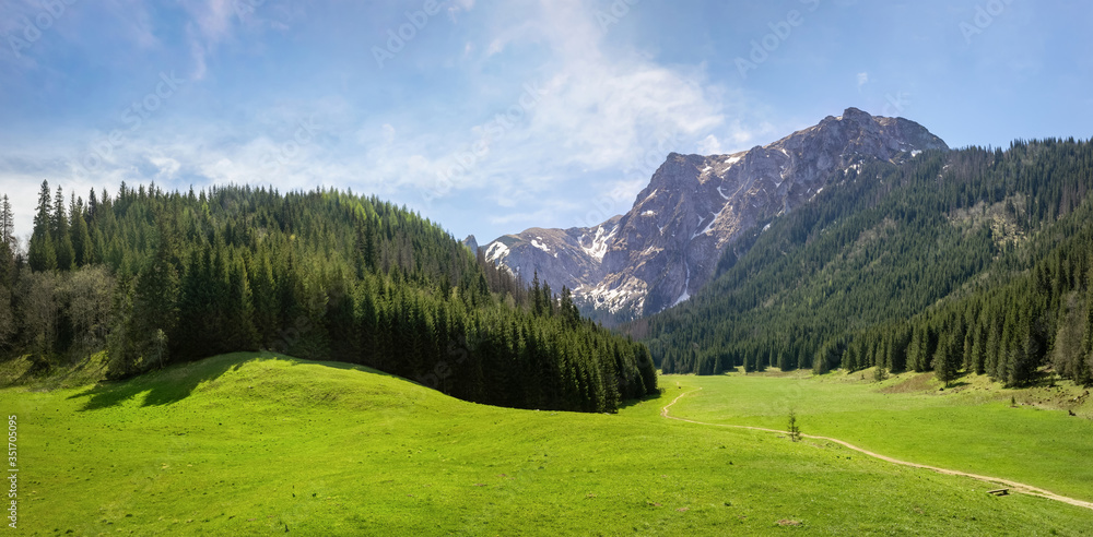 Panoramic view of glade in the Small Meadow Valley in Tatra mountains, Poland
