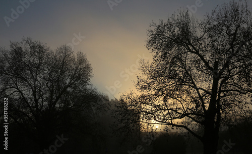 first light of winter morning in urban park