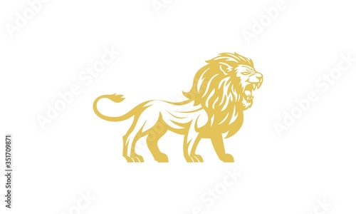 lion  yellow  l  logo  symbol  sign