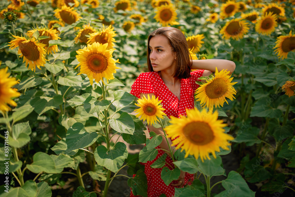 young beautiful caucasian girl in red dress in white dots stay in sunflower field young beautiful caucasian girl in red dress in white dots stay in sunflower field