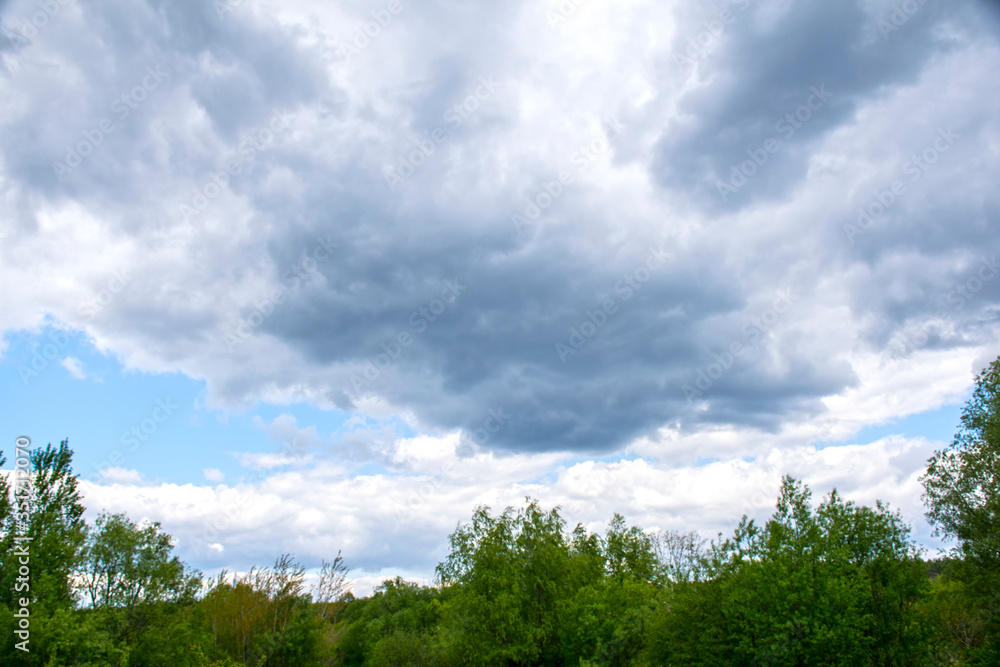 Blue sky with clouds over tree tops Blue sky with clouds over tree tops