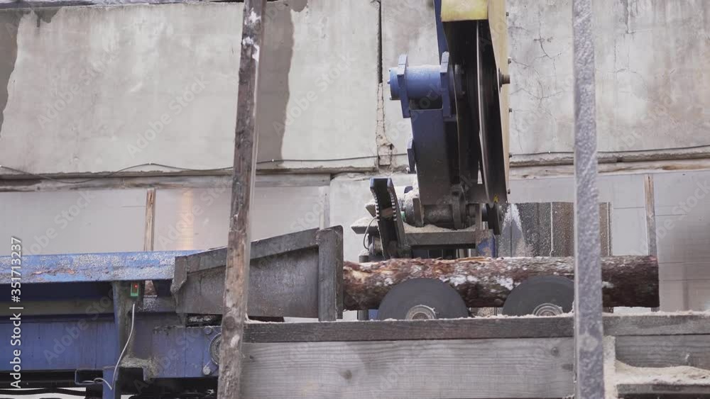 At the woodworking plant on the automatic line, a circular saw cuts the tree trunks into separate parts At the woodworking plant on the automatic line, a circular saw cuts the tree trunks into separate parts