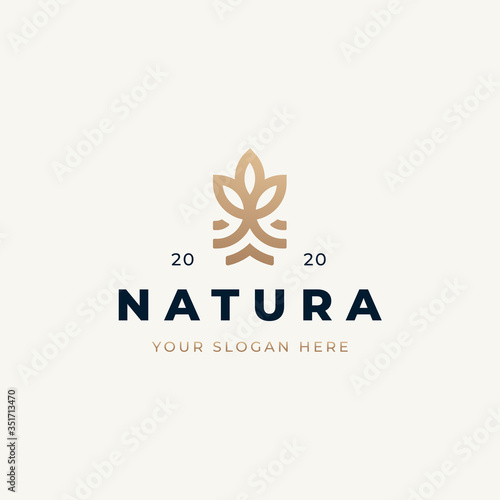 Fototapeta Naklejka Na Ścianę i Meble -  vintage natural logo design