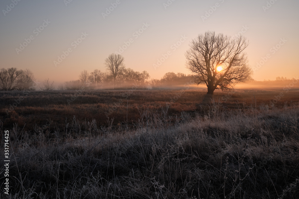 sunrise in the fog