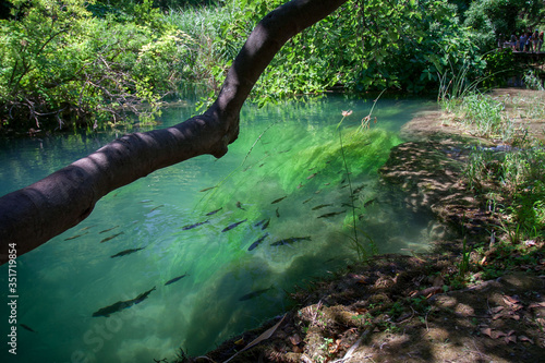 Obraz na płótnie Park Narodowy KRKA w Chorwacji w salonie