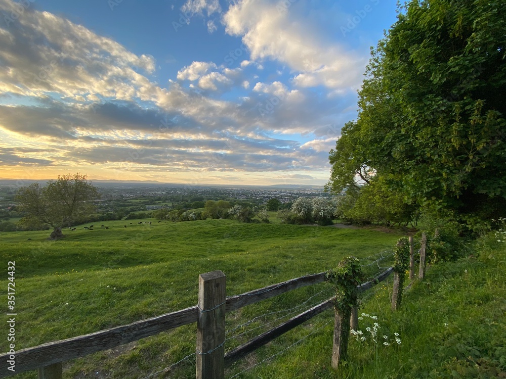 cotswolds landscape with fence, oak tree and blue sky dusk dawn