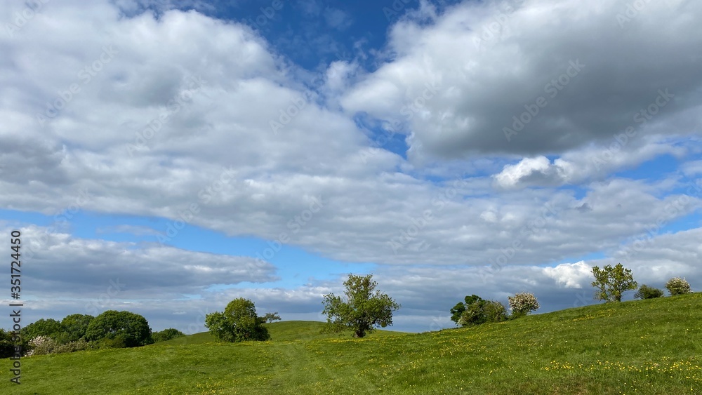 beautiful landscape with tree line on hill green grass and blue sky