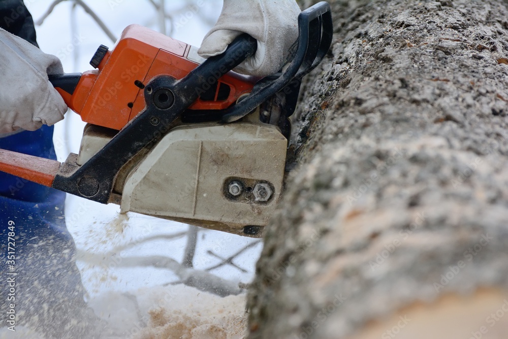 powerful chainsaw professionals