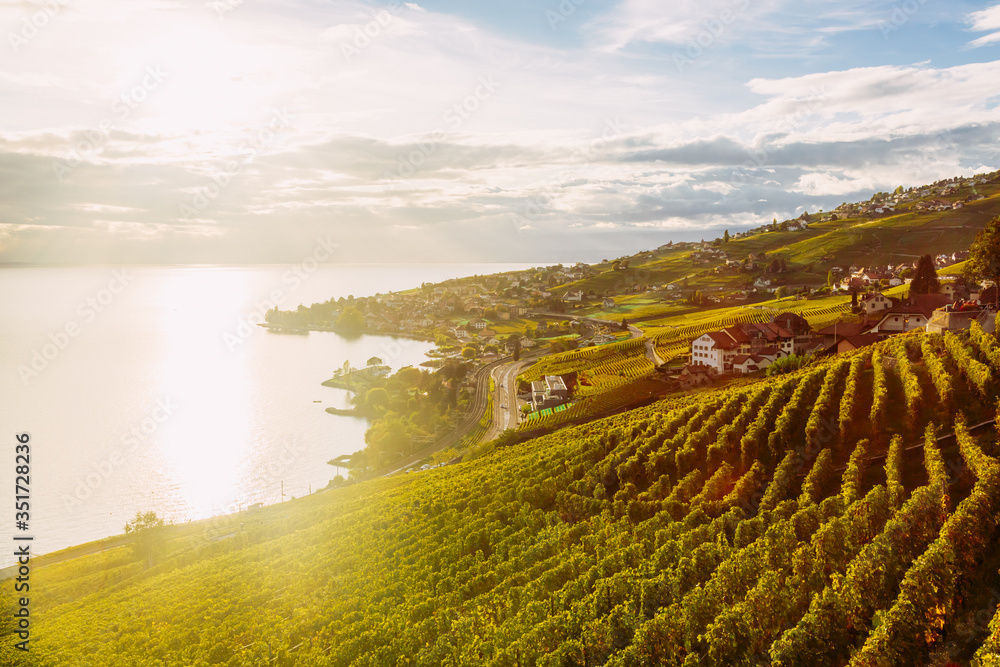 Lavaux, Switzerland: Lake Geneva and the Swiss Alps landscape seen from Lavaux vineyard tarraces during sunset, Canton of Vaud