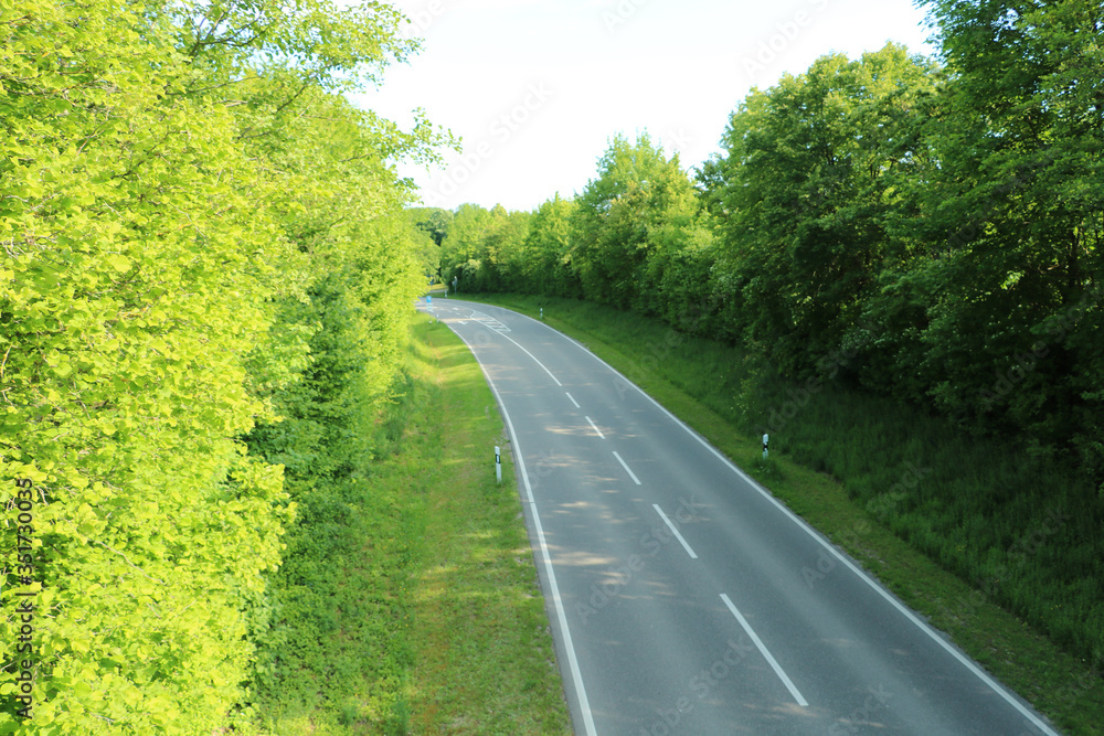 Fototapeta premium Autobahn im Wald