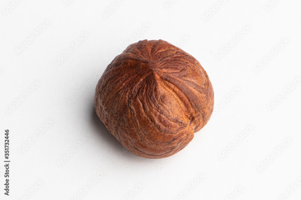 Hazelnut isolated on a white background Hazelnut isolated on a white background