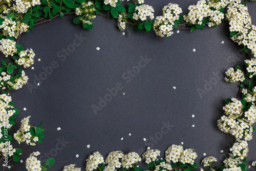 Beautiful spring tiny white flowers (Spiraea cana) on black background in form of frame, textures and backgrounds for text, view from above, layout of the invitation, template for greeting card, invit