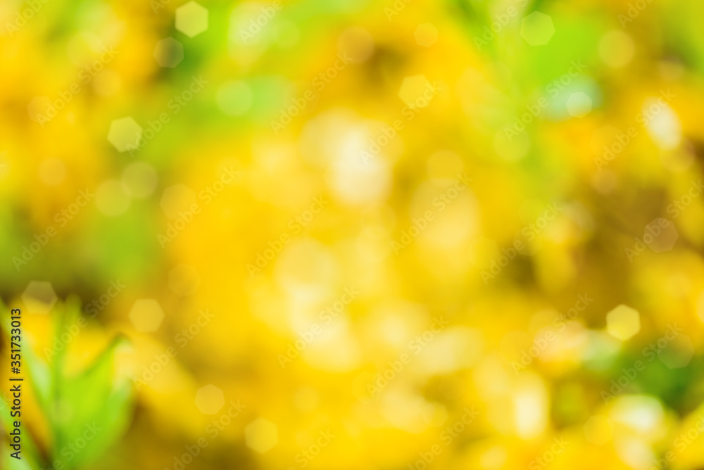 Devocus light, design element.yellow and green light bokeh blurred from tree backgrounds, green and yellow blur background texture