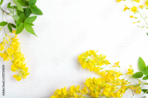 floral frame yellow flowers on white