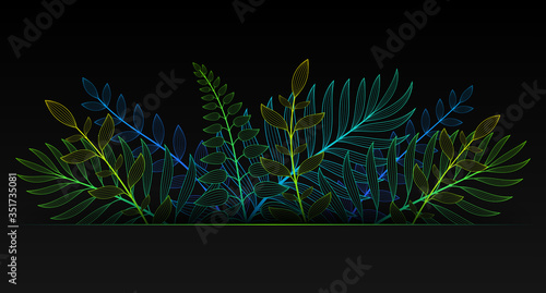 Vector illustration in neon gradient style and space for text. Black background with exotic plants and tropical leaves. Fluorescent backdrop for greeting cards, posters, banners, social media and etc.