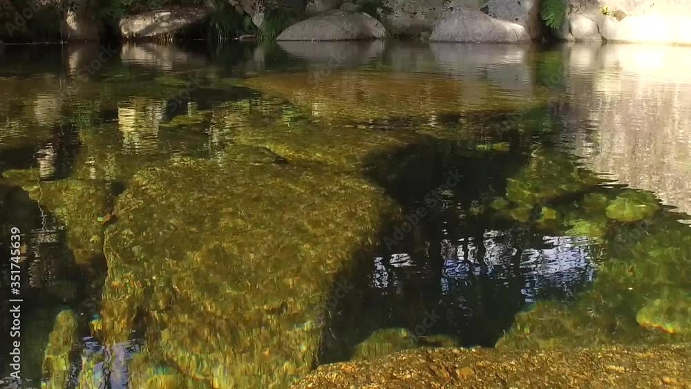 Beautiful crystal clear water from mountain stream slow motion Beautiful crystal clear water from mountain stream slow motion