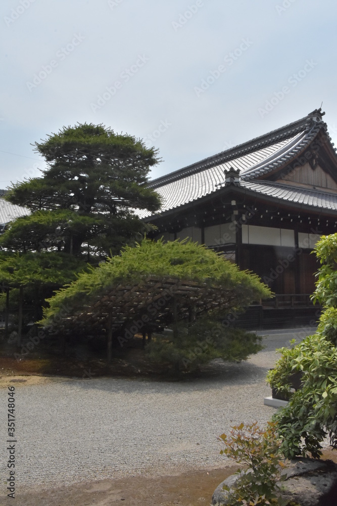 やはり印象的、けど以外に小さい　金閣寺（京都）
