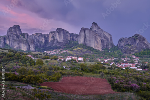lavender field in provence