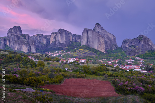 lavender field in provence france