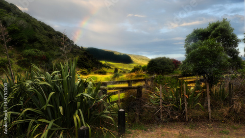 golden meadow under a cloudy sky