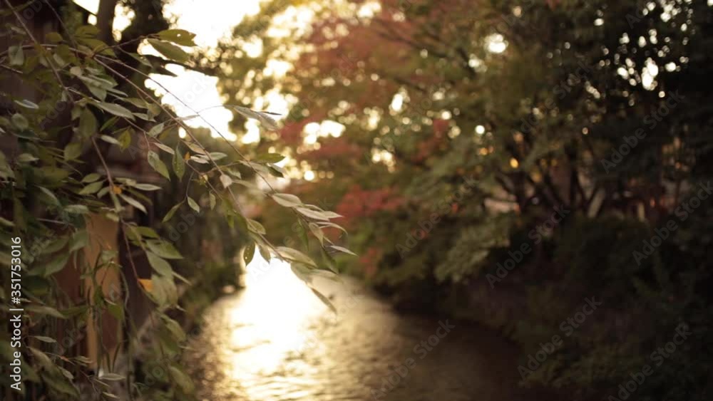 Lovely sunset in Kyoto river in the city (30fps) Lovely sunset in Kyoto river in the city (30fps)