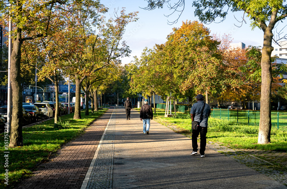 people walking in park