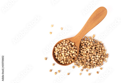 Pile of Coriander seeds and in wooden spoon isolated on white background with copy space, flat lay