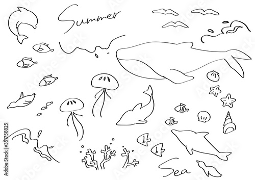 上品な海の生き物　線画　イラストセット