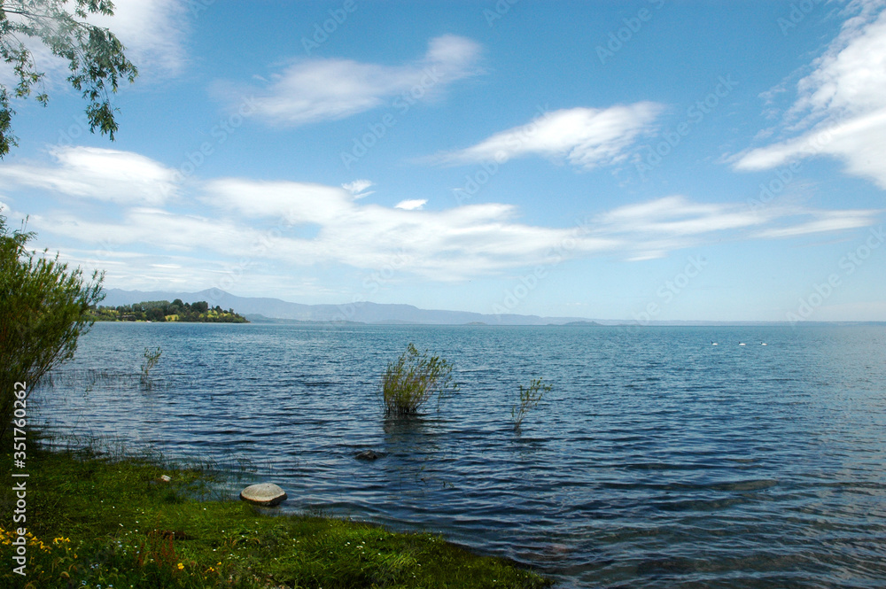 Lago  Ranco paisaje montaña sur de chile campo montañas agua lago naturaleza floress bosques aves cisne cuello negro