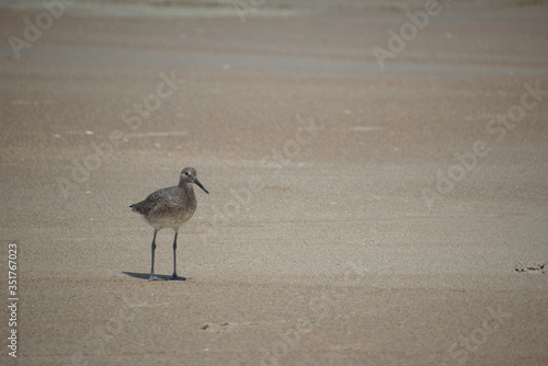 Developed using darktable 2.6.0