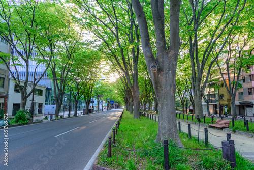 新緑の杜の都　仙台 © rujin