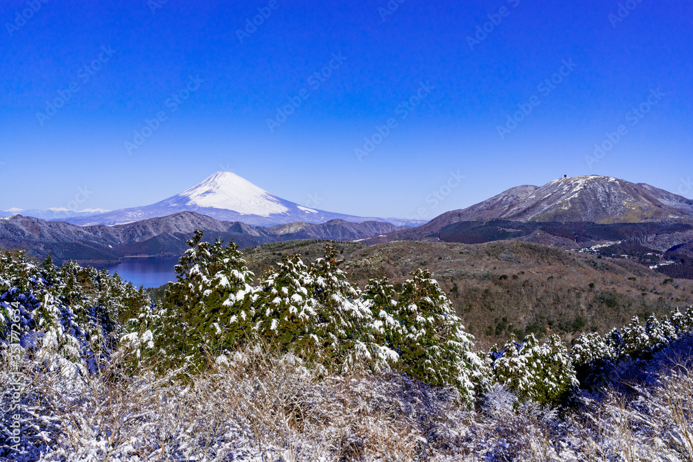 Fototapeta premium 厳冬期の箱根と富士山