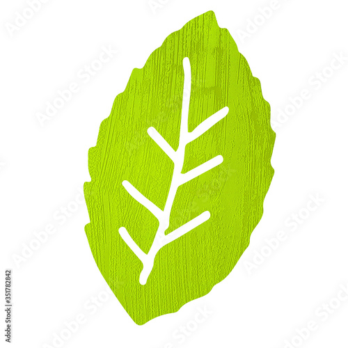 decorative element green leaf illustration texturePrint