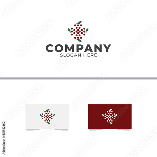 Grape Logo Design Vector Template