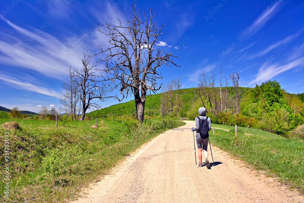 Back view photo of female backpacker walking on rural road and viewing landscape in
 spring sunny day.