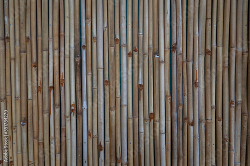 Bamboo wall or Bamboo fence texture background.